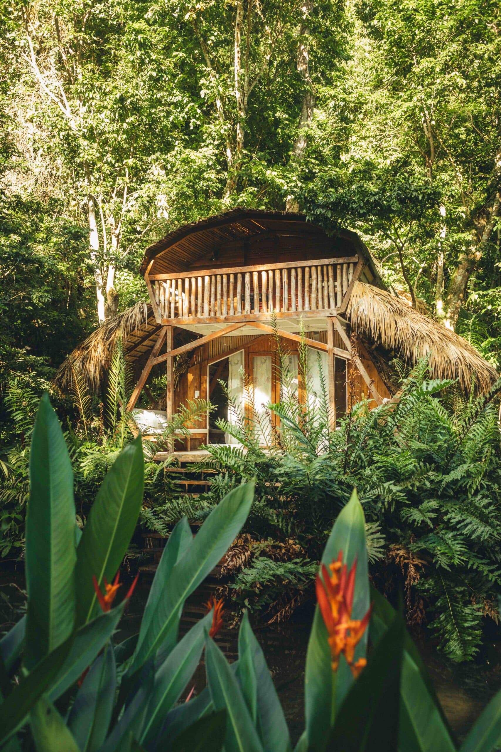 Jungle Room accommodation at Zumba Retreat